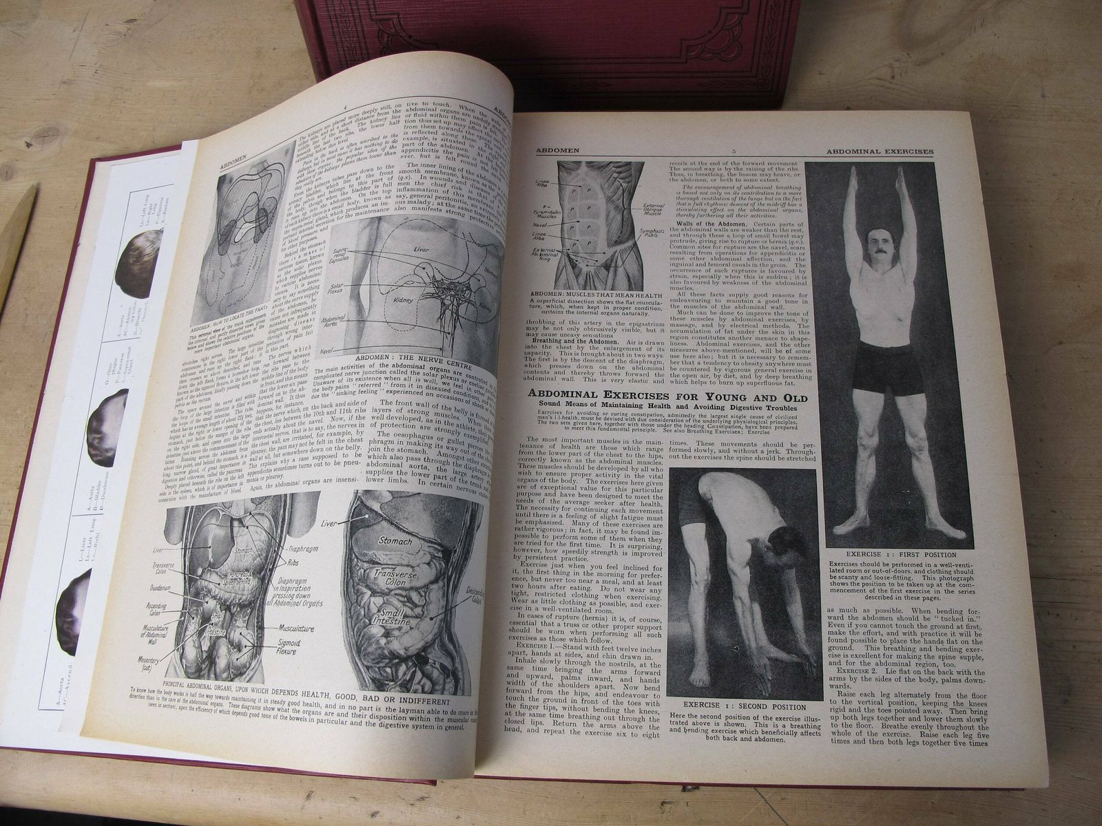 The Concise Home Doctor Encyclopedia Of Good Health   Volumes One And Two. Lovely Condition Set Of Books From The 1930s photo for sale