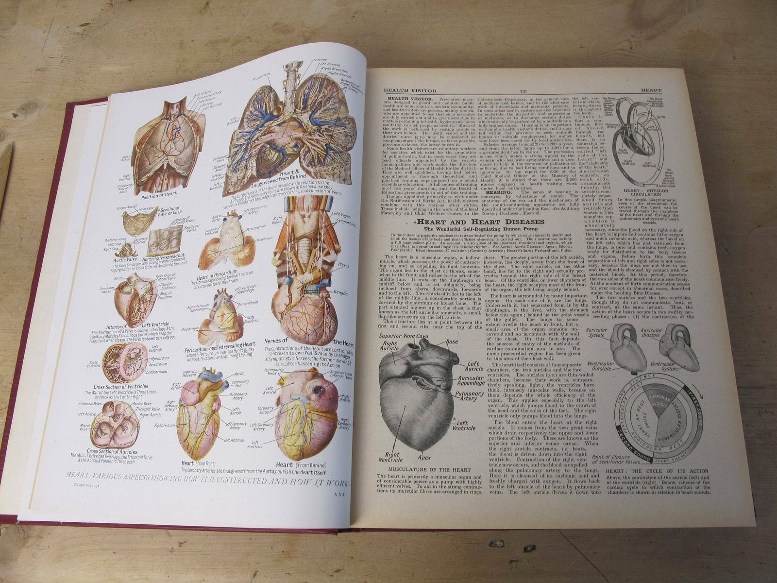 The Concise Home Doctor Encyclopedia Of Good Health   Volumes One And Two. Lovely Condition Set Of Books From The 1930s photo buy