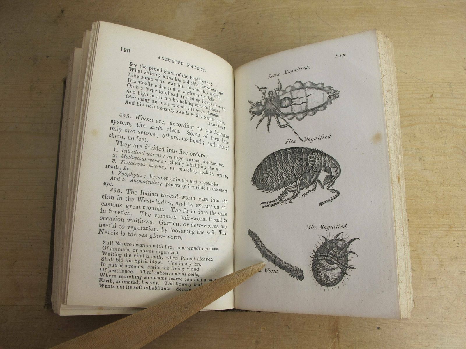 Blair's Preceptor Or General Grammar Of Arts, Sciences, And Useful Knowledge. Antique Education Book From 1830s, With Lots Of Engravings photo buy