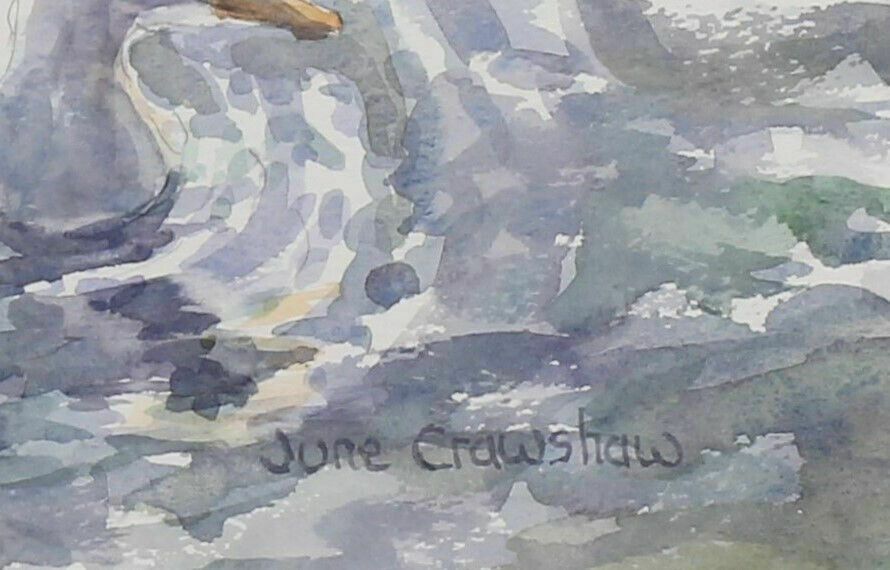 Watercolour By June Crawshaw. Titled "Just Swimming Around" photo for sale