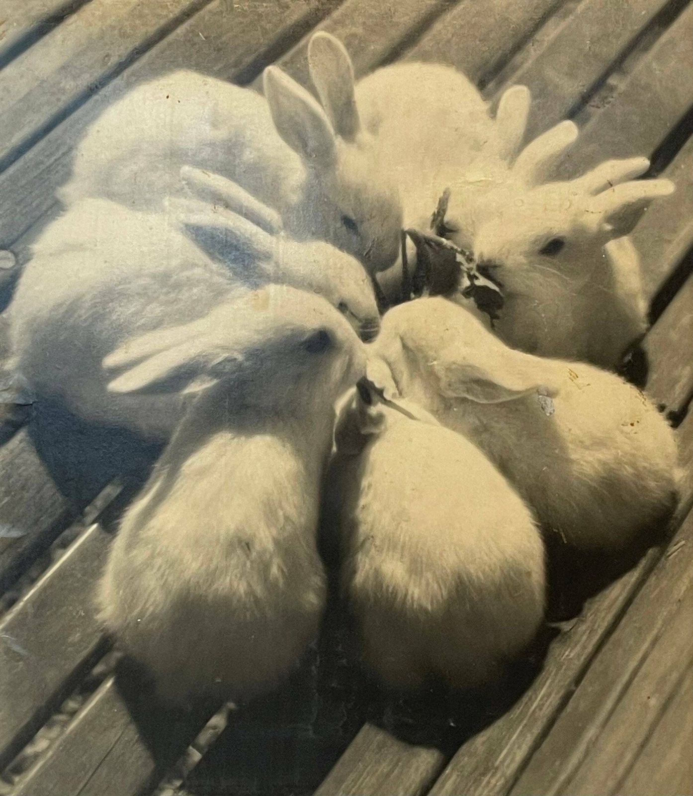 Danish Vintage Mid Century Fine Art Photography From The 1940’s “Jubilæumsbanket” By Aage Lillesøe photo furniture