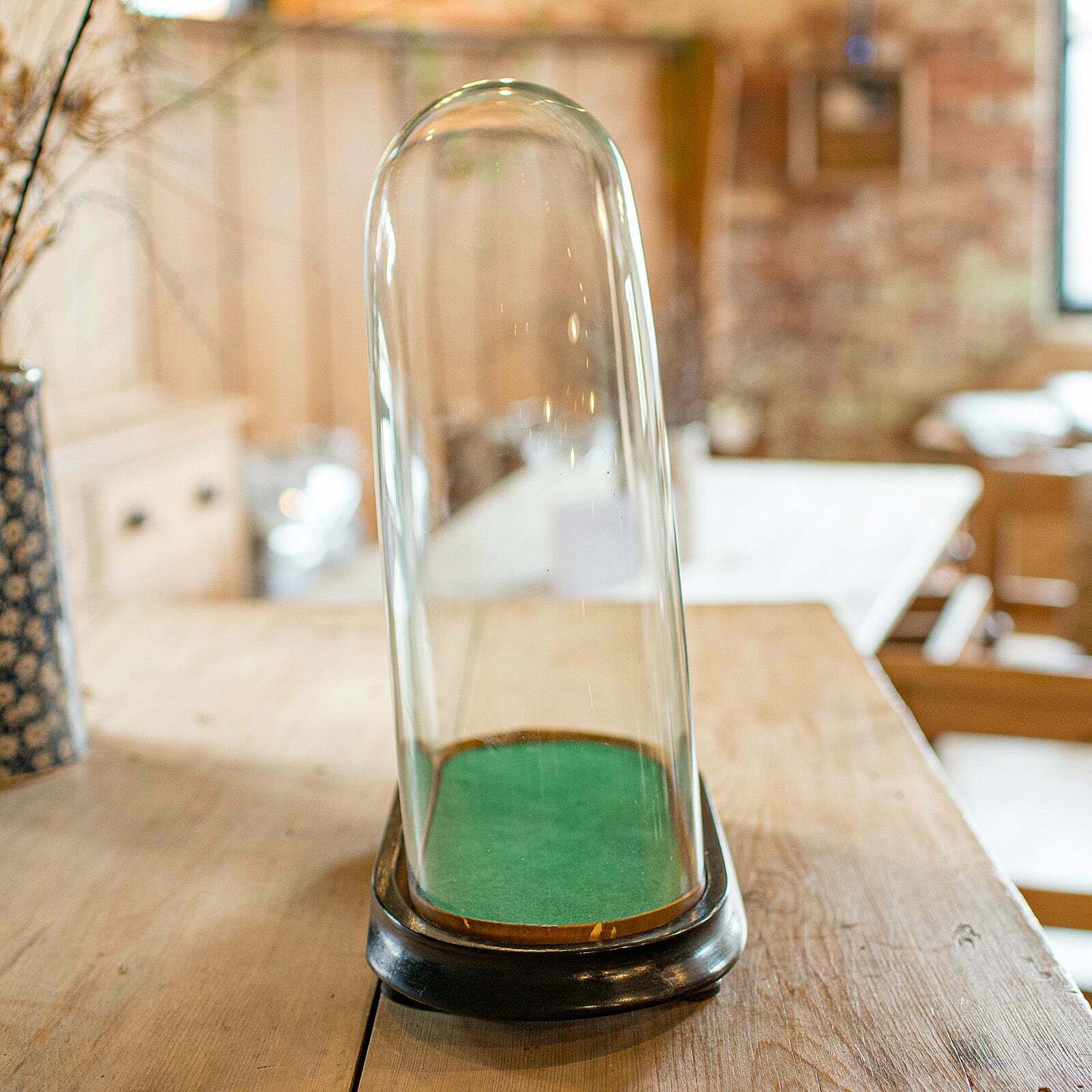 Antique Ovoid Clock Dome, English, Glass, Taxidermy Display Showcase, Victorian photo for sale