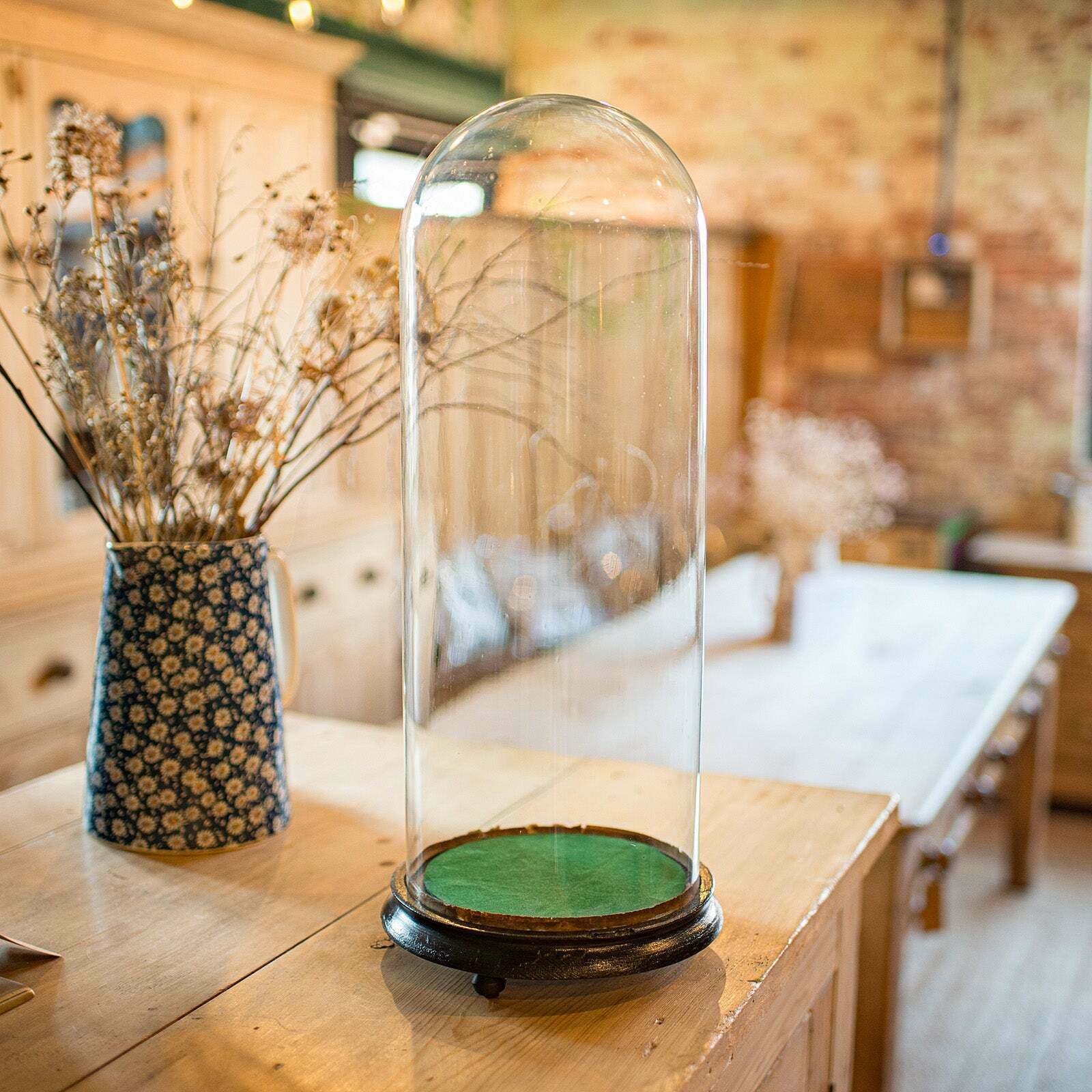 Tall Antique Taxidermy Dome English Glass