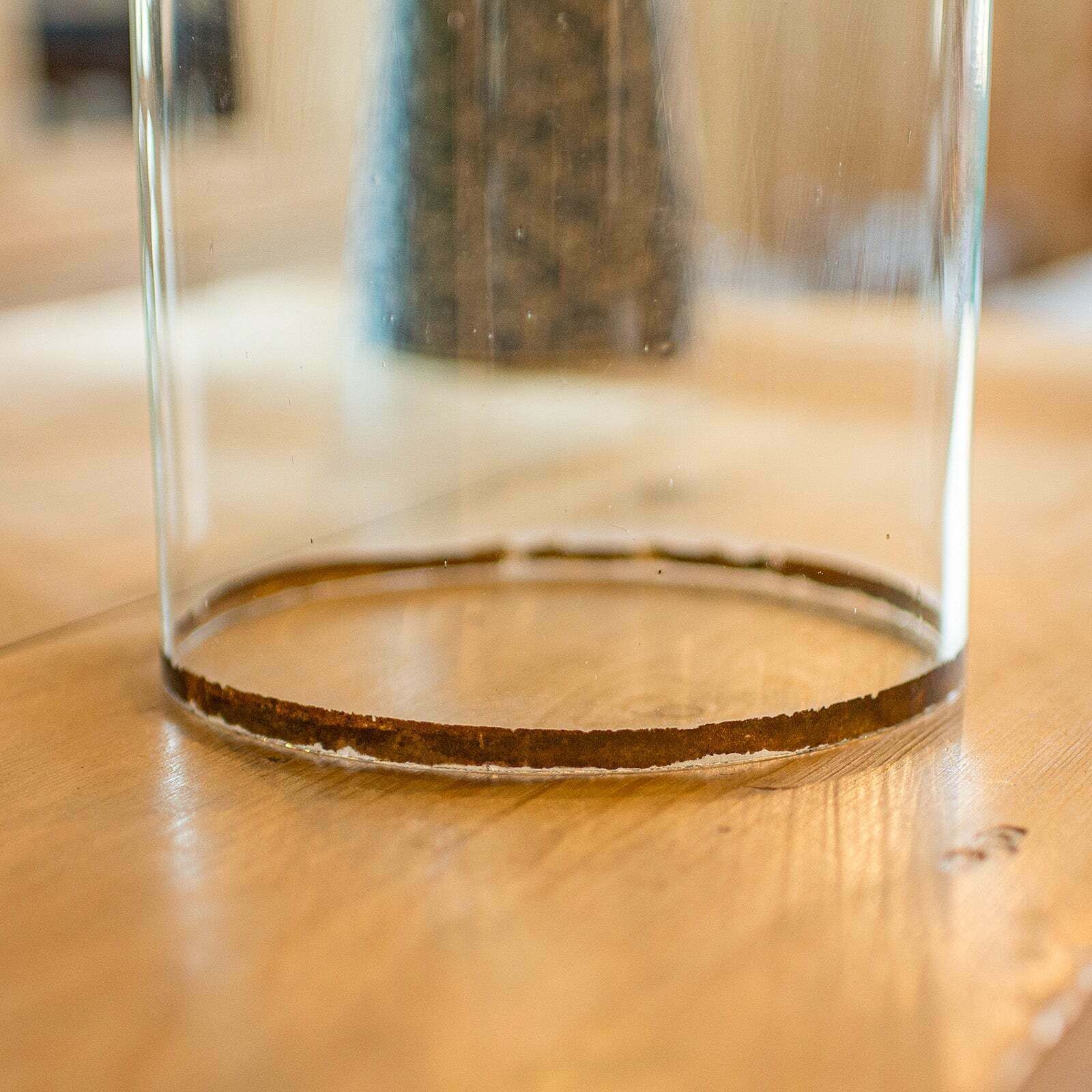 Tall Antique Taxidermy Dome English Glass photo vintage