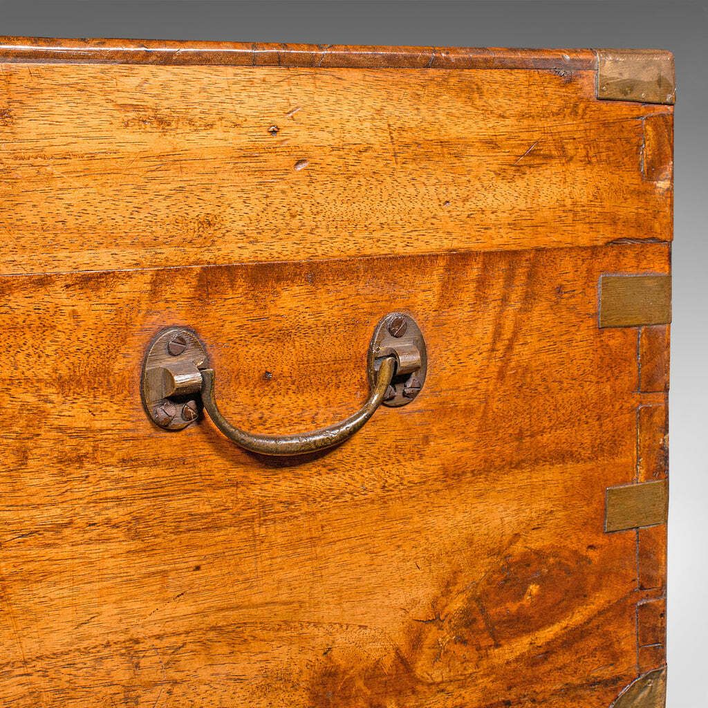 photo for sale Antique Military Trunk, English, Camphorwood Chest, Blanket Box, Victorian, 1900