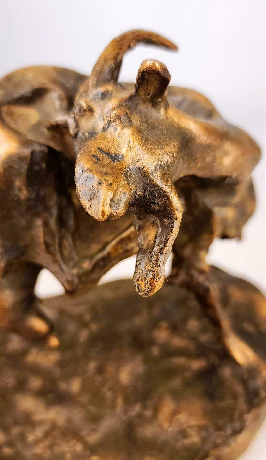 Patinated Bronze Early 20th Century Sculpture Of Goat By Italian Sculptor Ernesto Bazzaro photo 2175.0