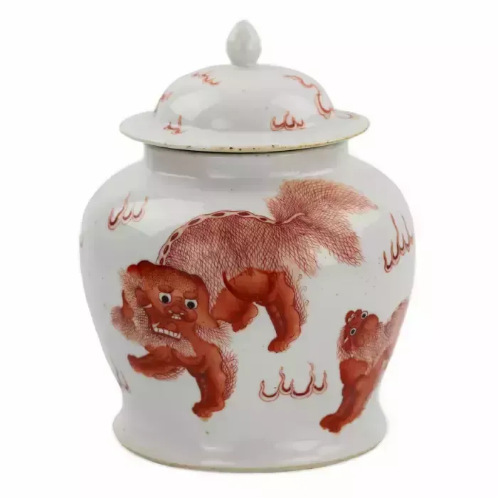 Chinese Porcelain Vase, Painted “Iron Red” Overglaze Dog Fo. Possibly Kangxi Period. photo 1597.0