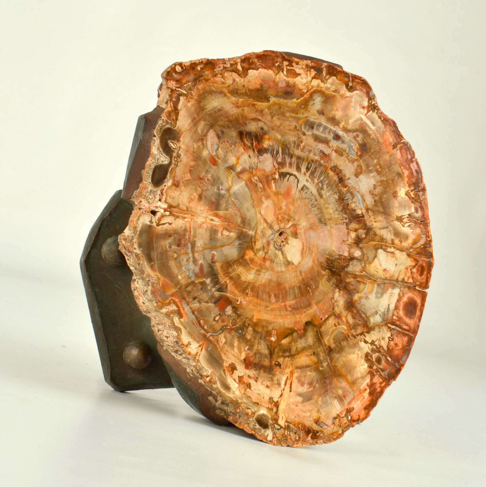 photo buy Architectural Push Pull Door Handle In Petrified Wood And Bronze