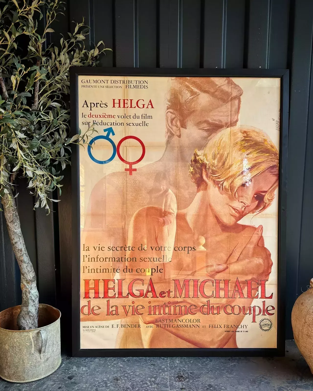 Fabulous Vintage French Film Poster