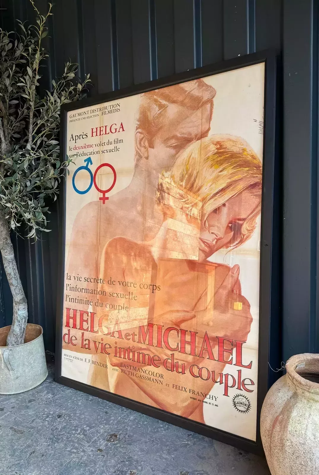 Fabulous Vintage French Film Poster photo for sale