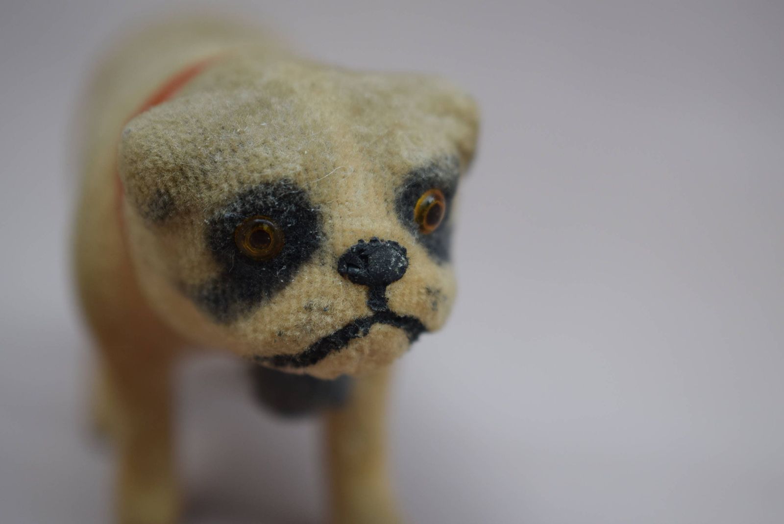 Antique Pug Carlin Putz Dog, 1910s photo vinterior