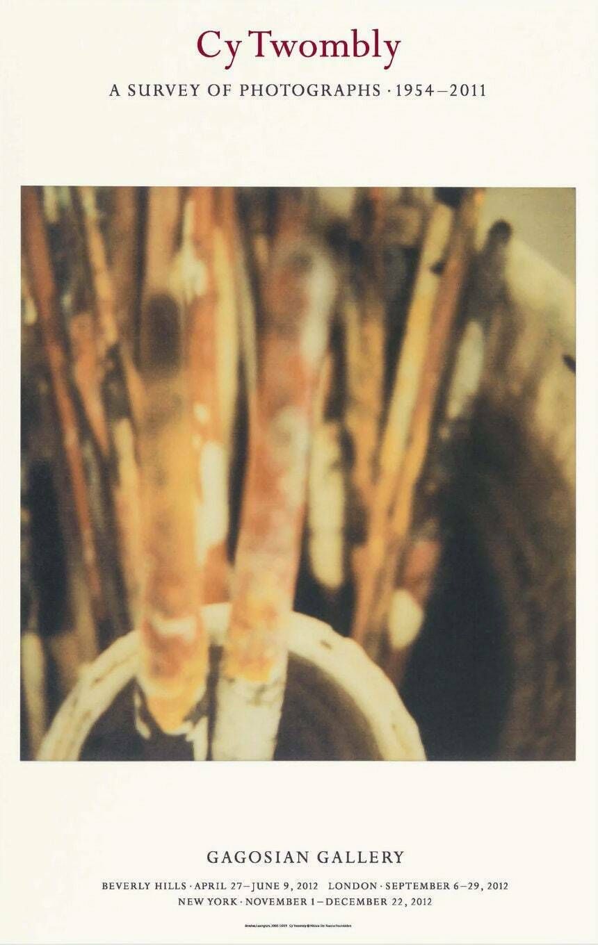 Original Cy Twombly Exhibition Poster   Brushes Photograph   Wall Art Painter Official Authentic Gallery Print