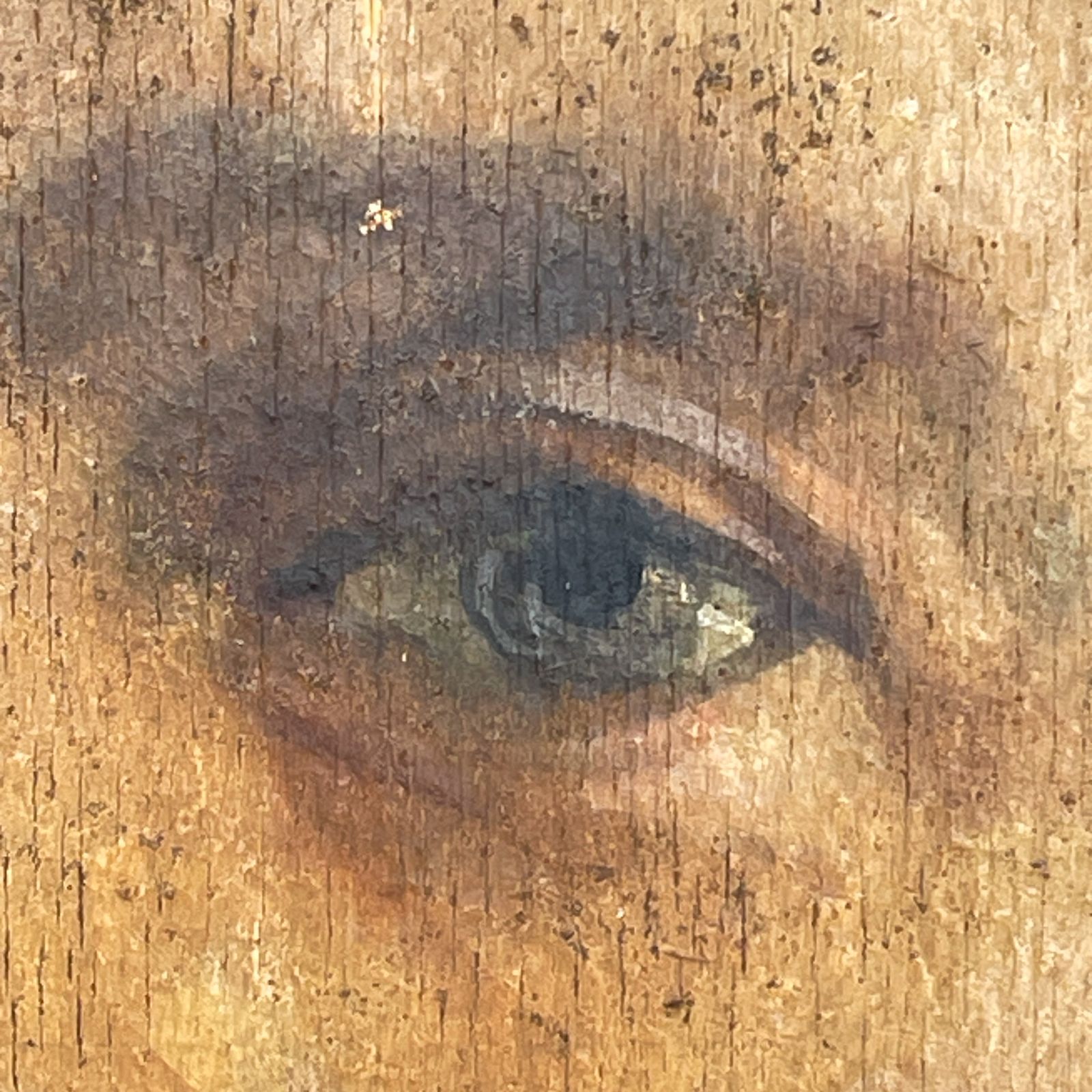 Antique Painting Portrait "Man In A Suit", Plywood, Oil, Unknown Artist, Italy, Late 19th Century. photo 390.0