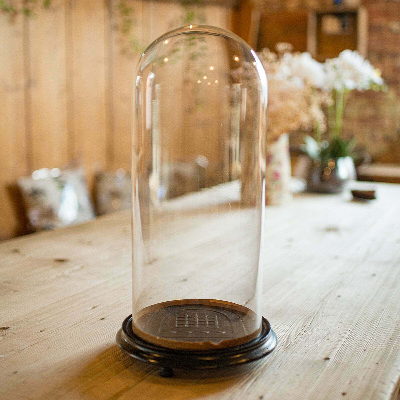 Medium Antique Taxidermy Dome, English, Glass Display Showcase, Edwardian, 1910 photo for sale