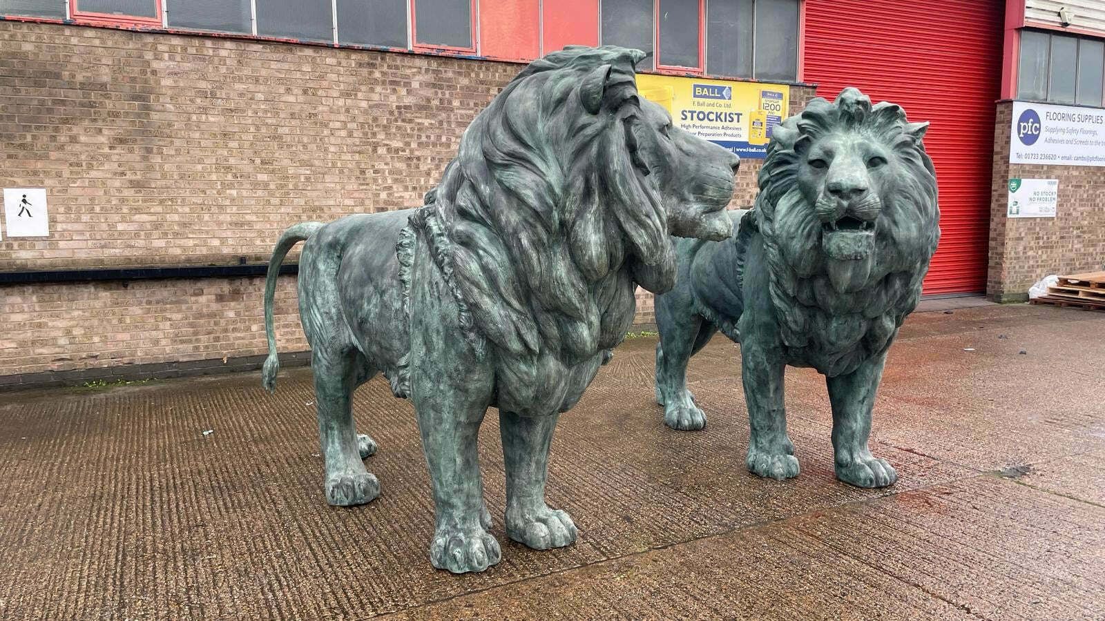 photo for sale Huge, Pair Of Antique Bronze Lions From Italy