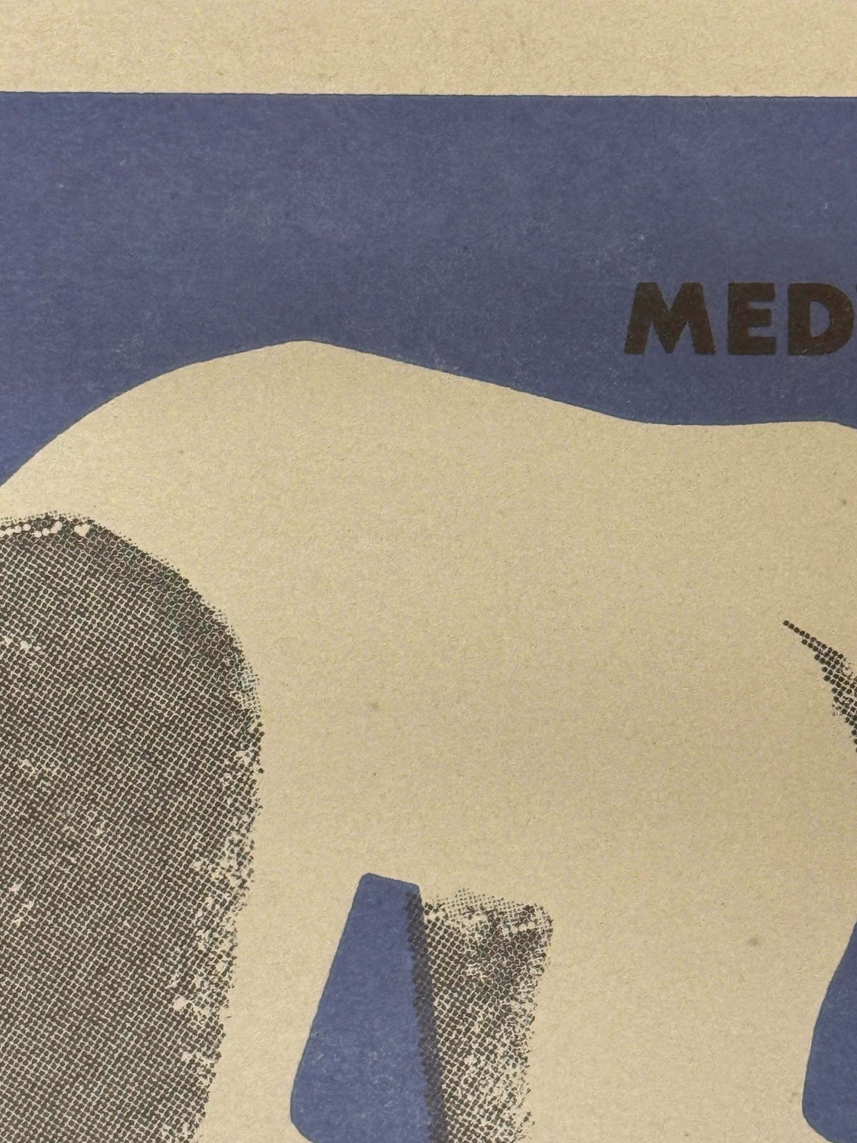 Limited Edition Czech Match Box Art Poster 85 Of 240 Zoo Praha Polar Bear photo 98.0