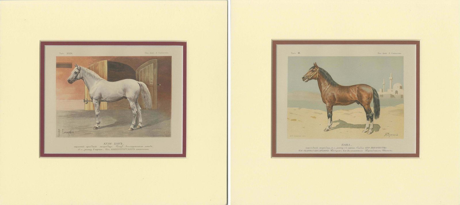 Set Of 2 Antique Horse Prints By Simonov photo Art
