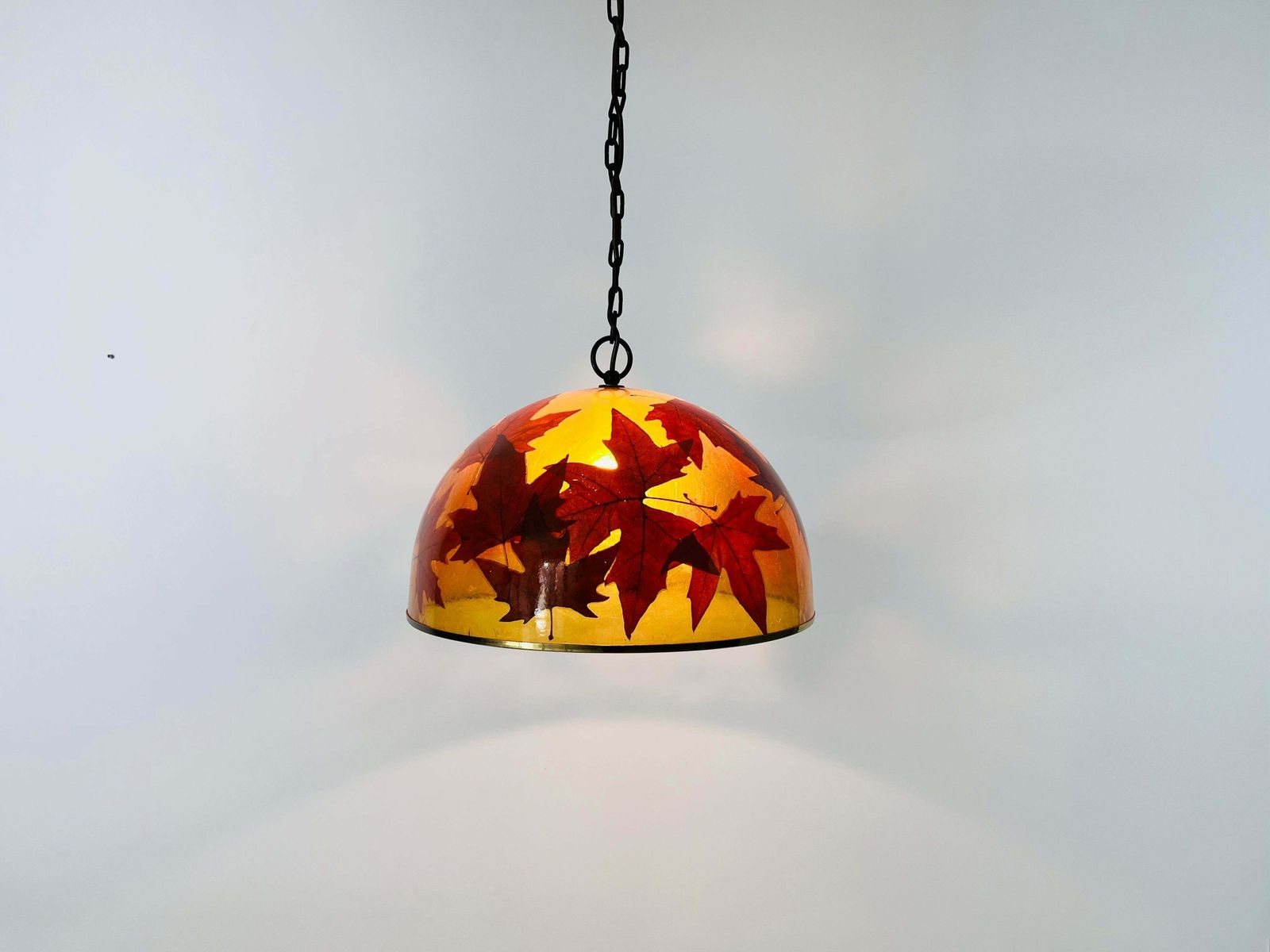 665.0 Acrylic Glass Pendant Lamp With Leaves And Brass Base, Germany, 1970s photo