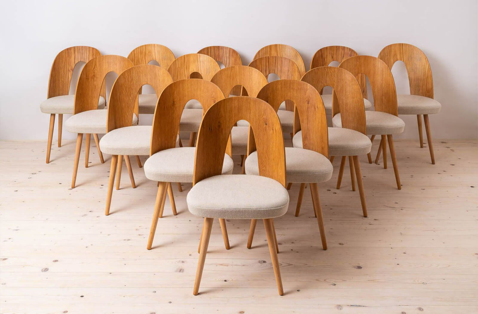 Set Of 10 Mid Century Dining Chairs By A.šuman, 1960s, Customizable Upholstery Available