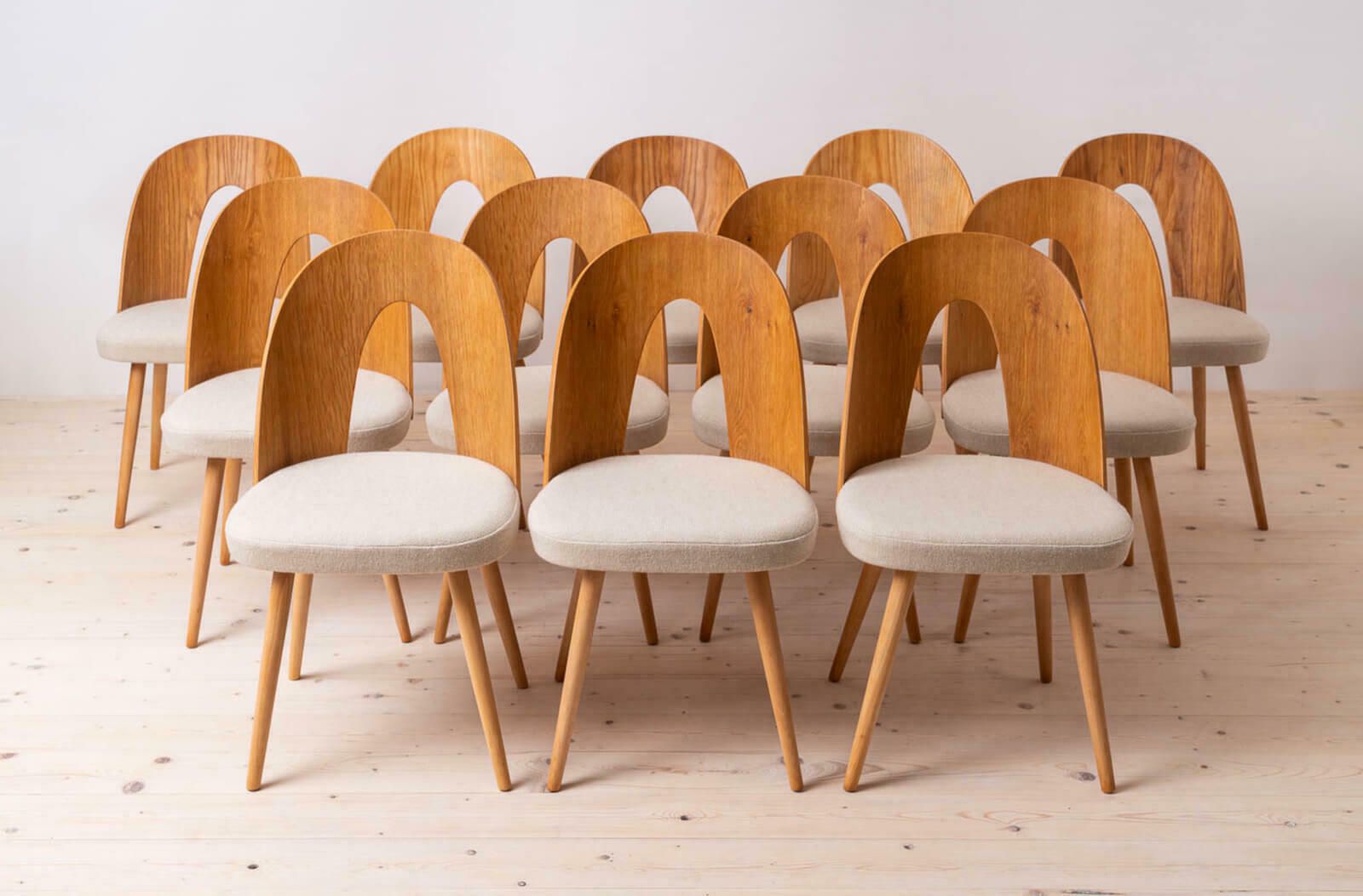 Set Of 10 Mid Century Dining Chairs By A.šuman, 1960s, Customizable Upholstery Available photo furniture