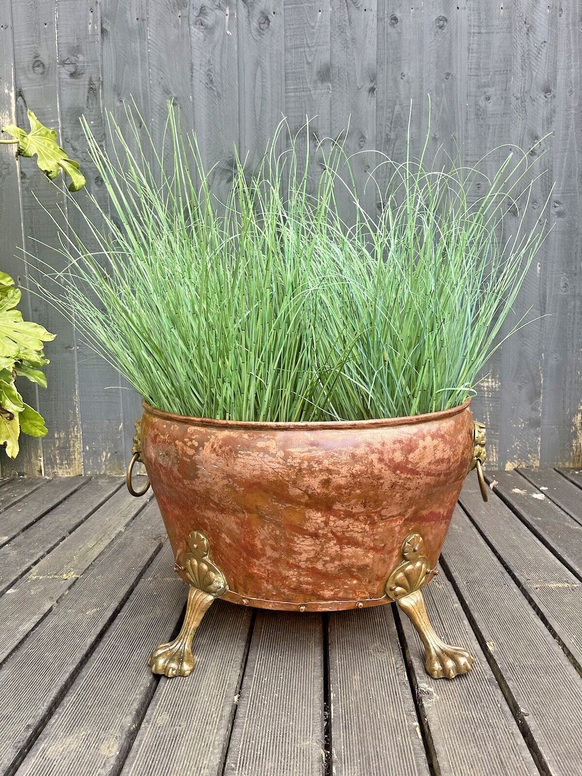 photo vintage Large Antique Copper & Brass Lions Head Paw Feet Riveted Log Coal Bucket Planter