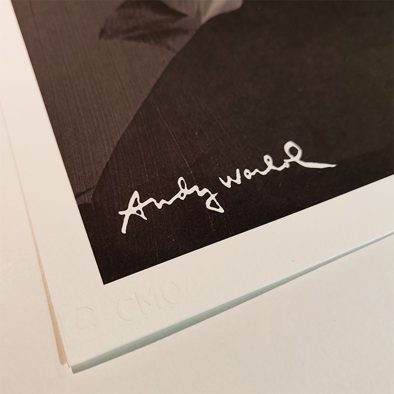 1980s Andy Warhol "Self Portrait" Limited Numbered Edition Lithograph By Cmoa. photo for sale