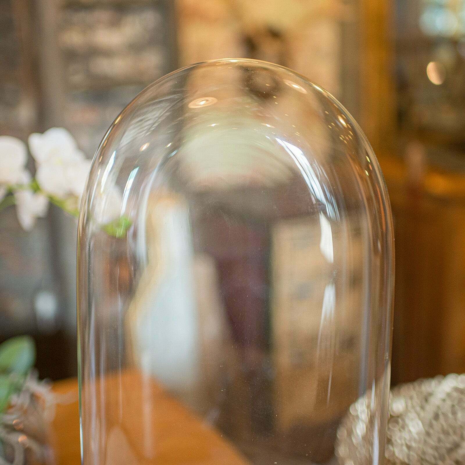 Slimline Antique Display Dome, English, Glass, Ornamental Showcase, Victorian photo 675.0