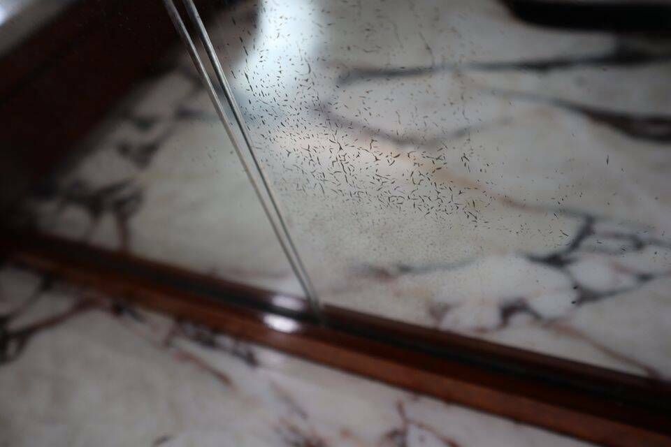 photo buy Buffet Art Déco, ébène De Macassar Et Loupe De Noyer, 1920 1930