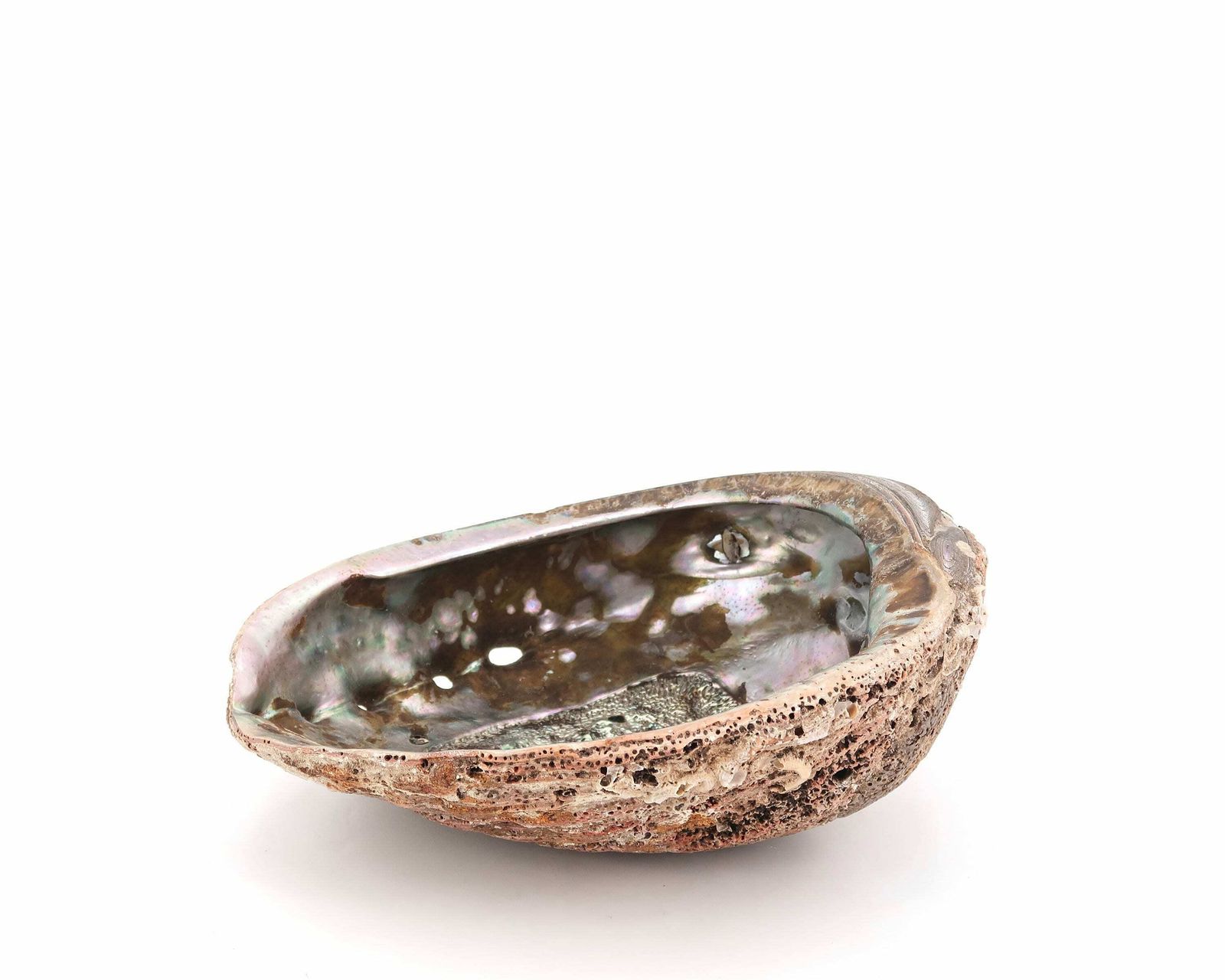 Large Seashell : Large Abalone Mother Of Pearl, 1960s / Ring Dish, Tray, Jewelry Display, Boho Chic, Bohemian, Folk Bathroom photo furniture