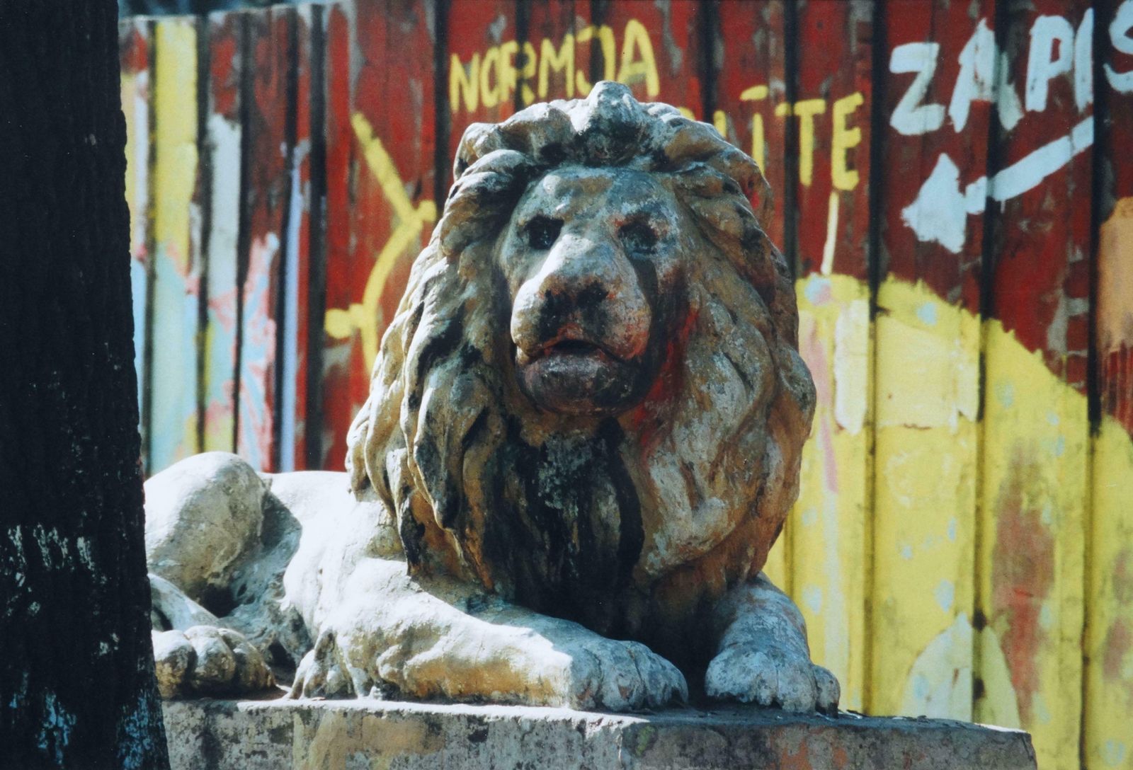 Atis Ievins Lion. Photography, 30.5x45.5 Cm