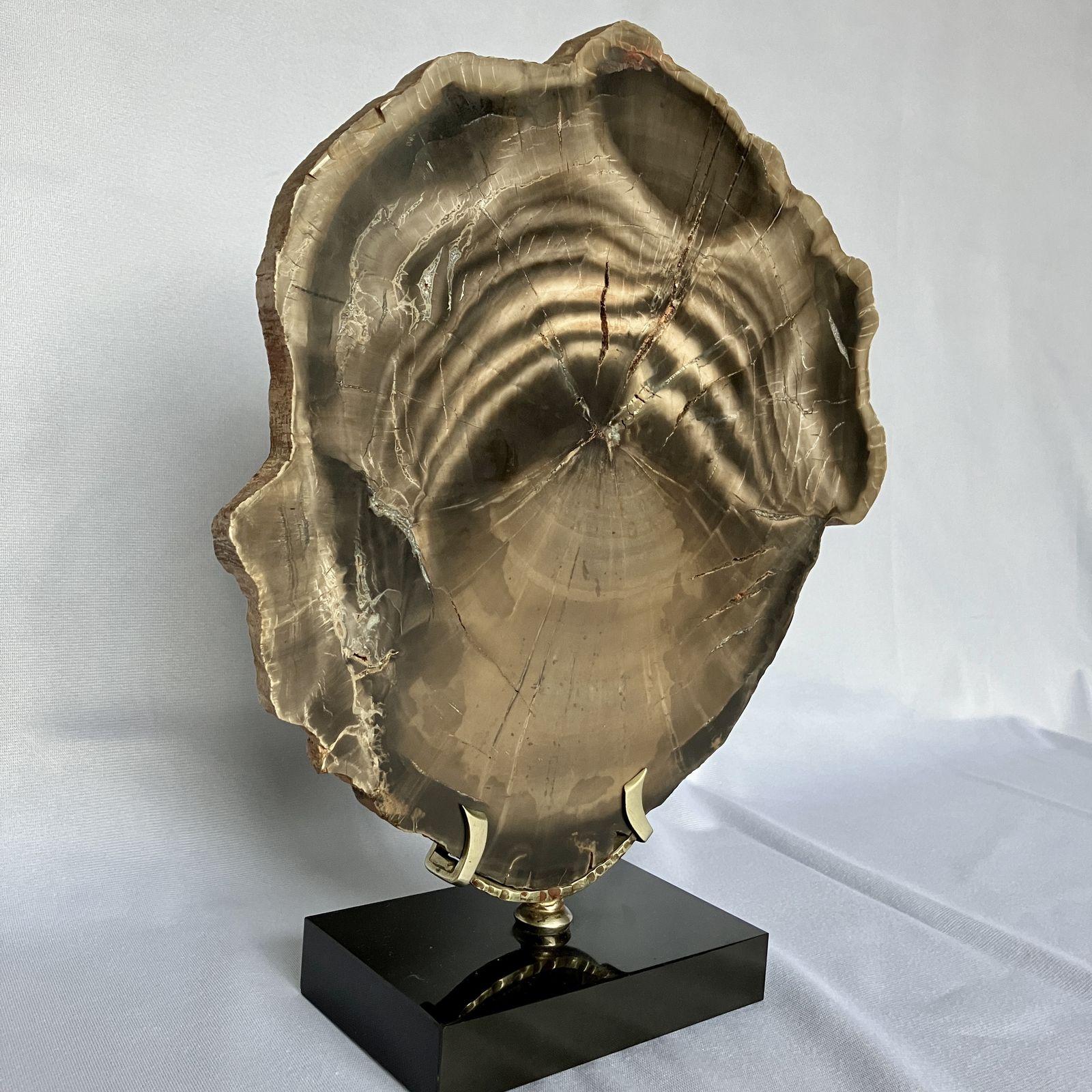 A Large Fossilised Or Petrified Wood Specimen, Polished And Mounted On A Bespoke Stand, Circa 120 To 240 Million Years Old photo for sale