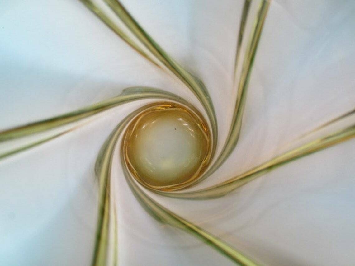Murano Twisted Poli Seguso Era Green And Golden Ombre Hand Made Art Glass Vase photo vintage