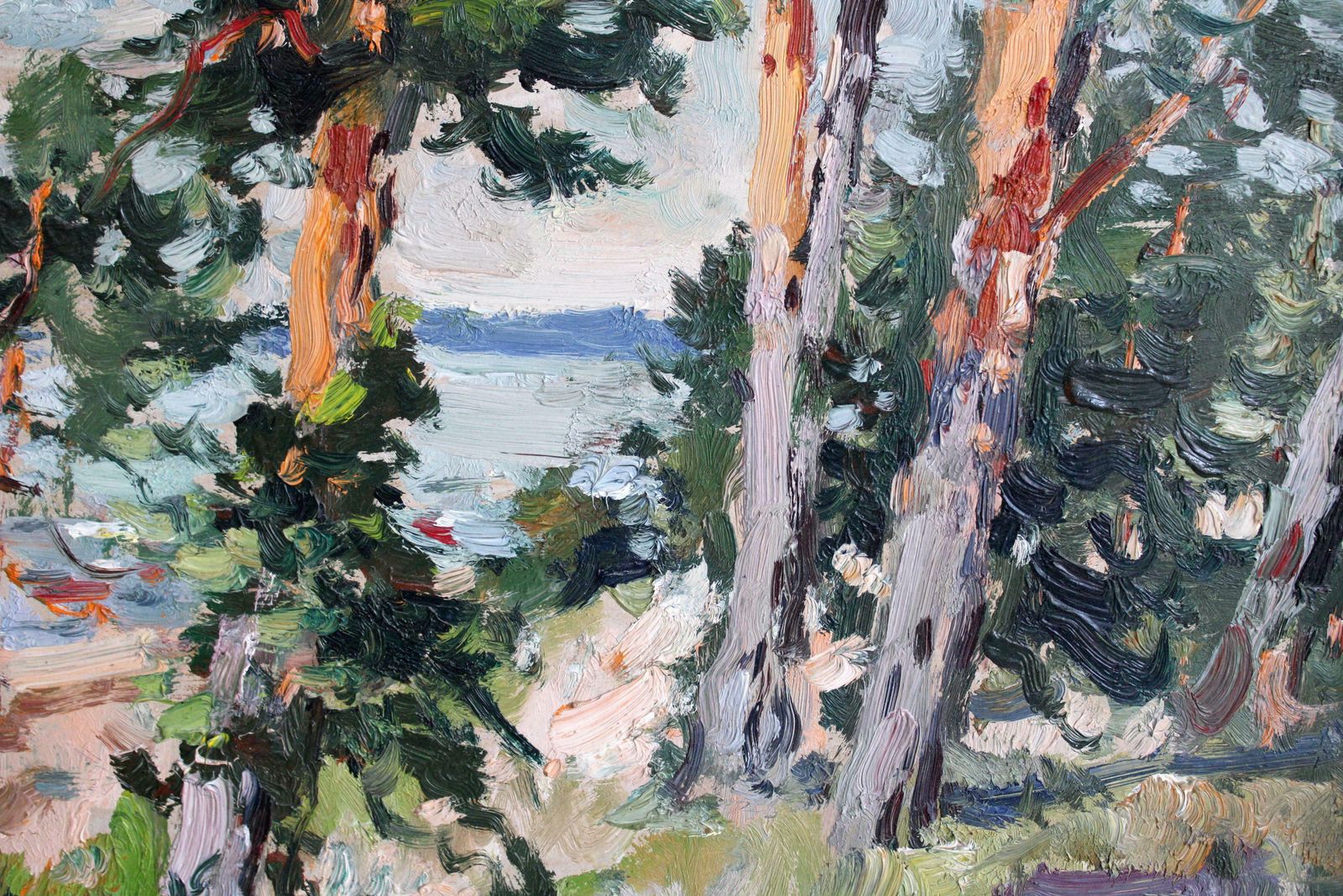 Edgars Vinters Pine Trees On The Seashore. 1981, Cardboard, Oil, 46x65 Cm photo for sale