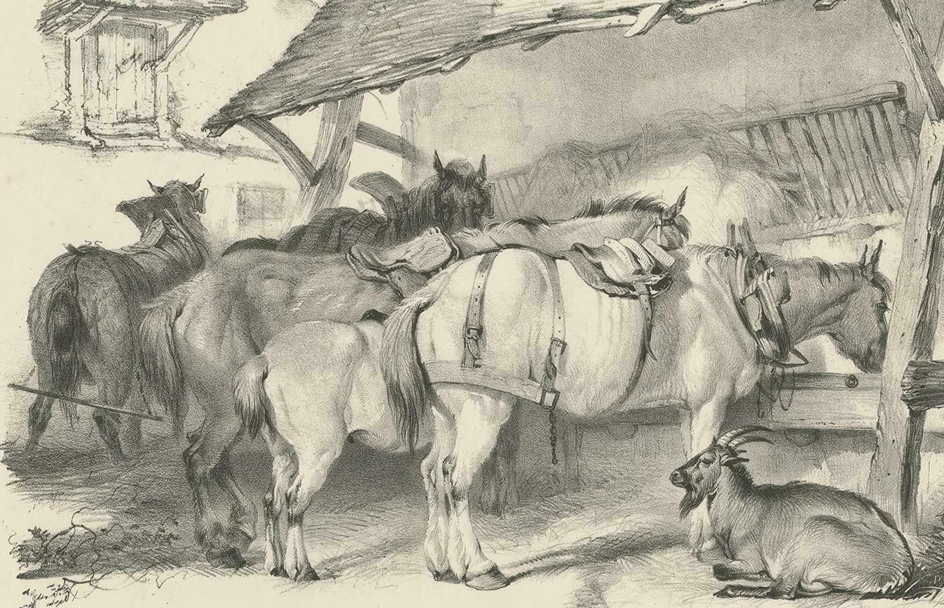 19th Century Antique Print Of Horses And A Goat By Cooper, 1839 photo for sale