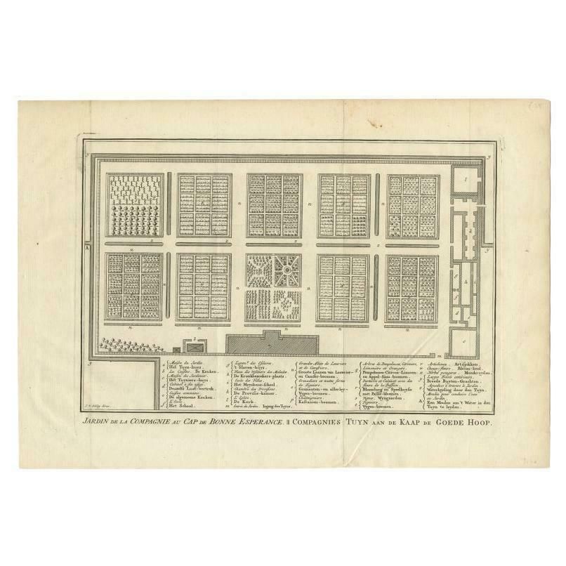 Antique Print Of The Gardens At Cape Of Good Hope By Van Schley, 1756
