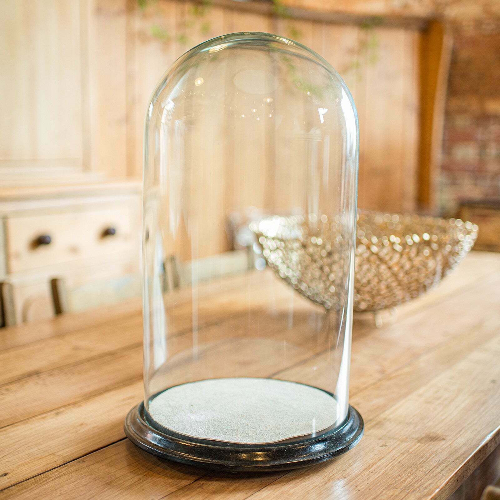 Wide Antique Taxidermy Dome, English, Glass Specimen Showcase, Victorian, C.1870 photo for sale