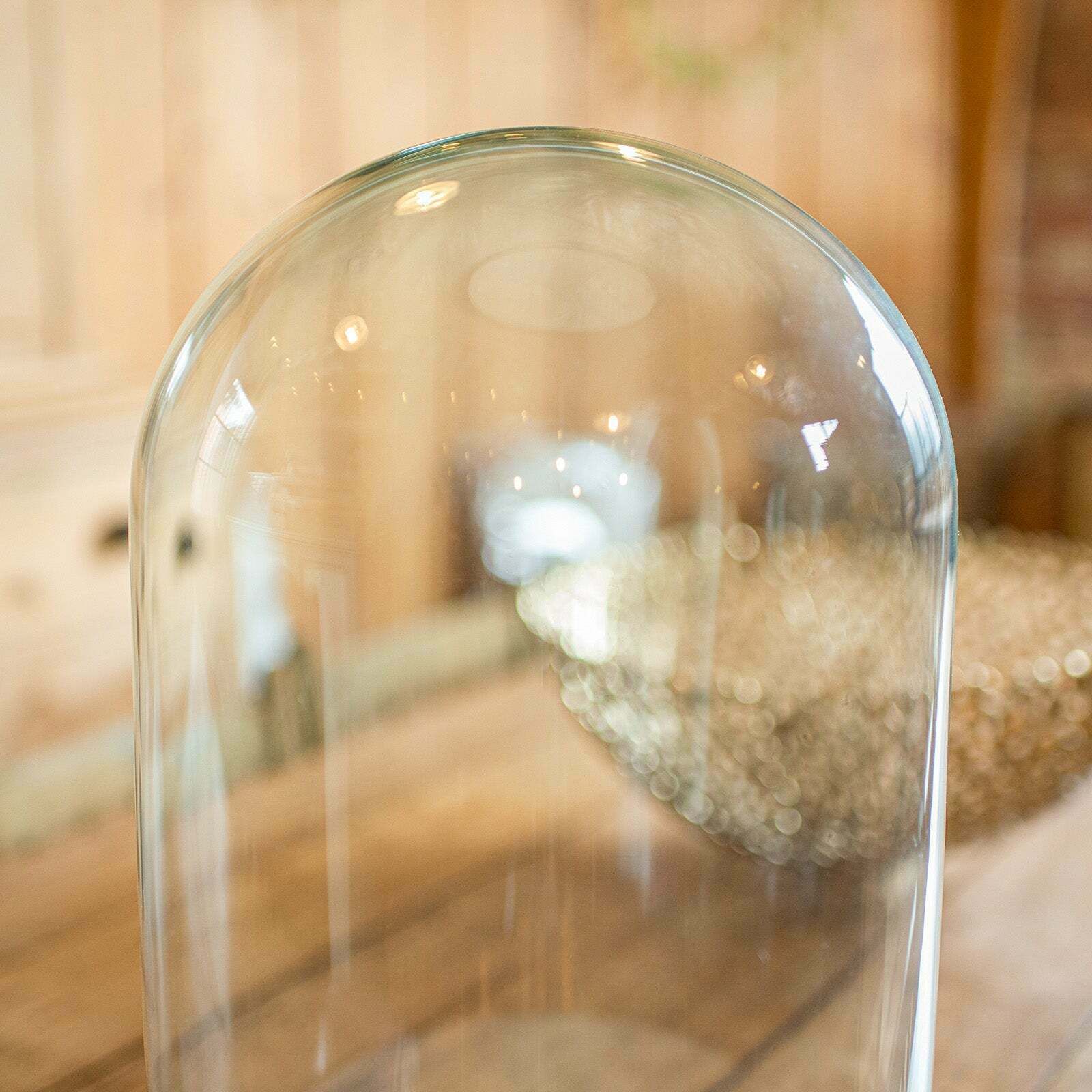 Wide Antique Taxidermy Dome, English, Glass Specimen Showcase, Victorian, C.1870 photo Home Decor