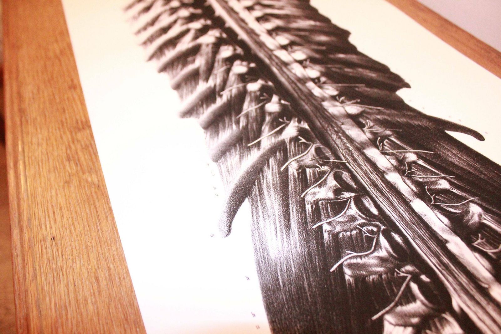 Rare Anatomical Giclée Print. Large Wall Art. Anatomical Print 1m Tall. Very Limited Edition. photo Art