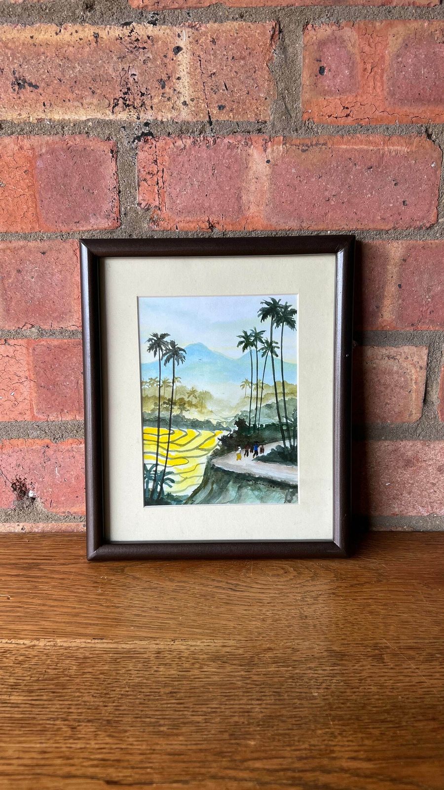 Original Framed And Signed Watercolour Painting Depicting Indonesian Nature photo furniture