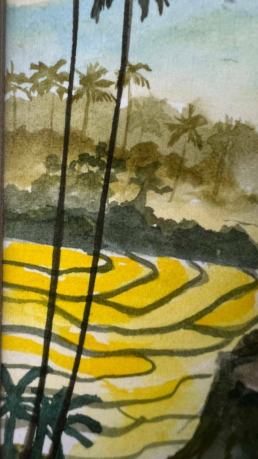 Original Framed And Signed Watercolour Painting Depicting Indonesian Nature photo buy