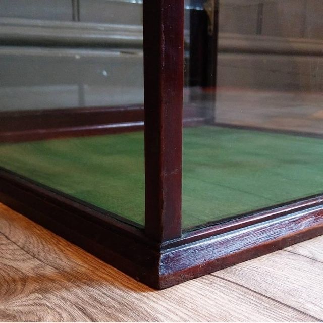 Edwardian Mahogany Shop Display Cabinet