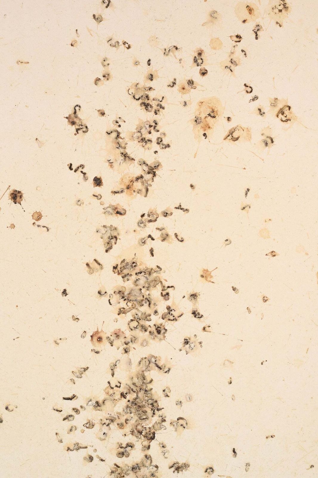 Volgeling Van Dan Colen – 'Untitled (Bird Shit)' photo buy