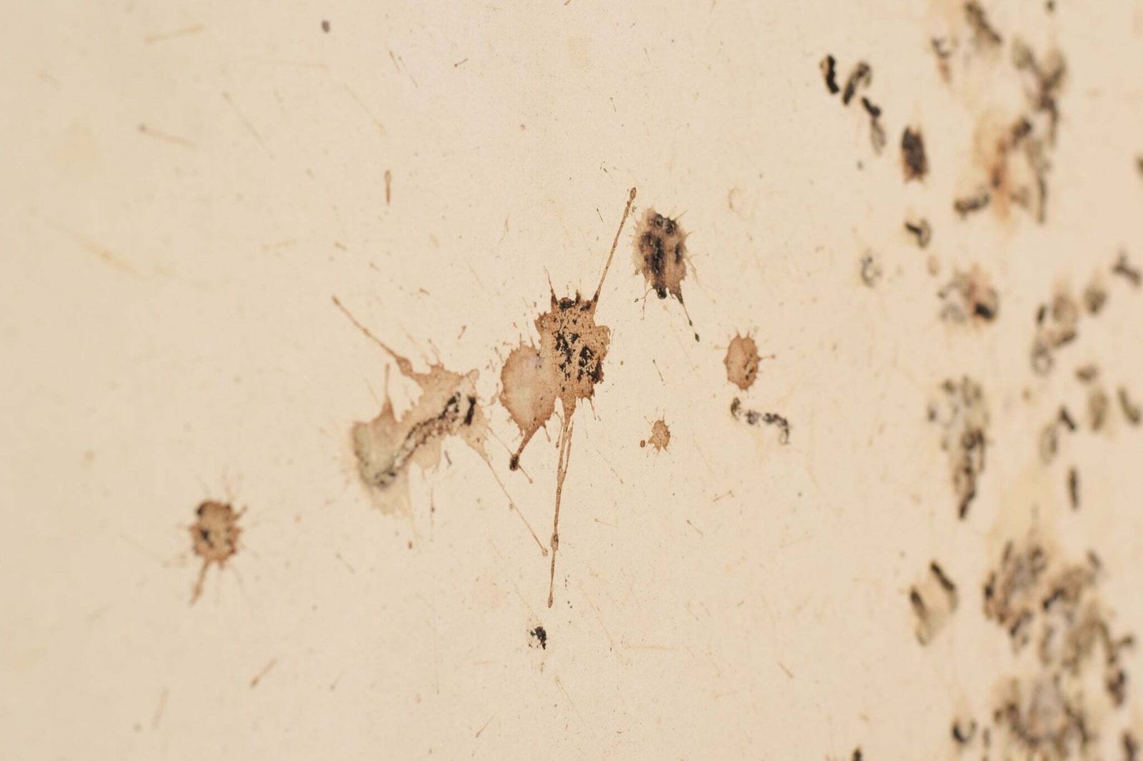 photo furniture Volgeling Van Dan Colen – 'Untitled (Bird Shit)'