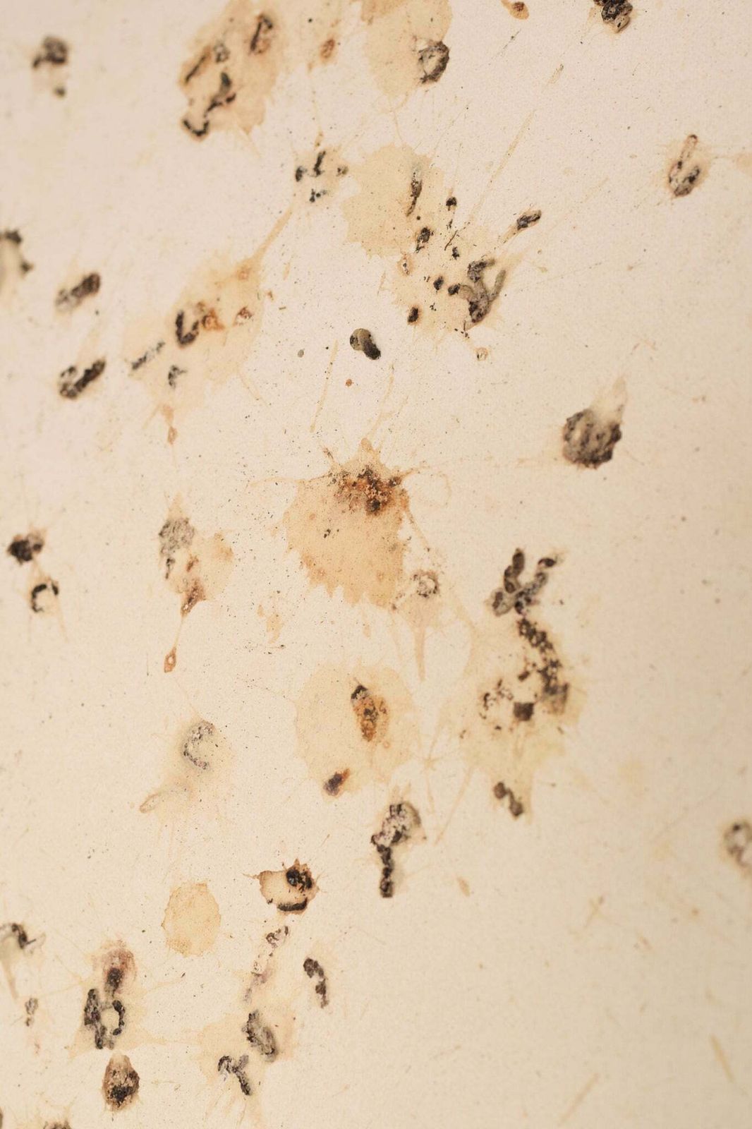 photo buy Volgeling Van Dan Colen – 'Untitled (Bird Shit)'