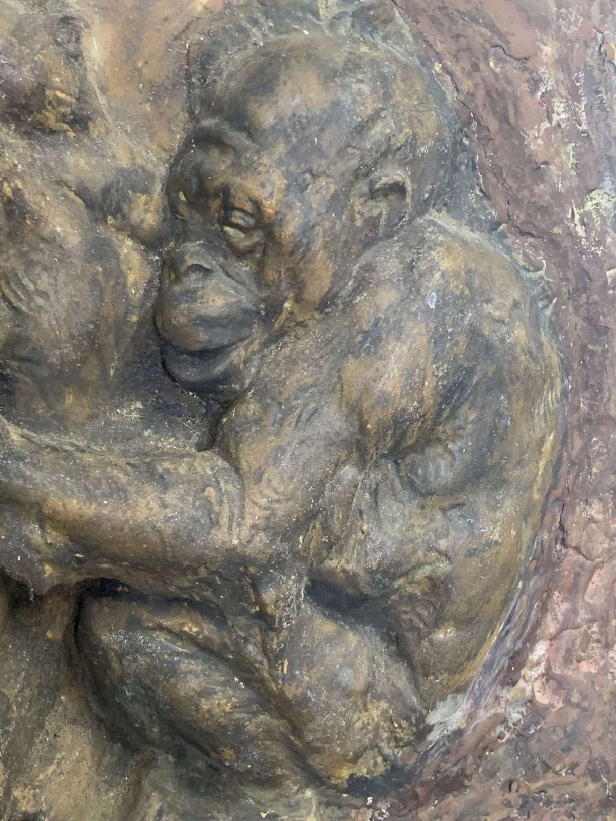 Antique Signed Plaster Plaque Depicting Orangutans photo Art