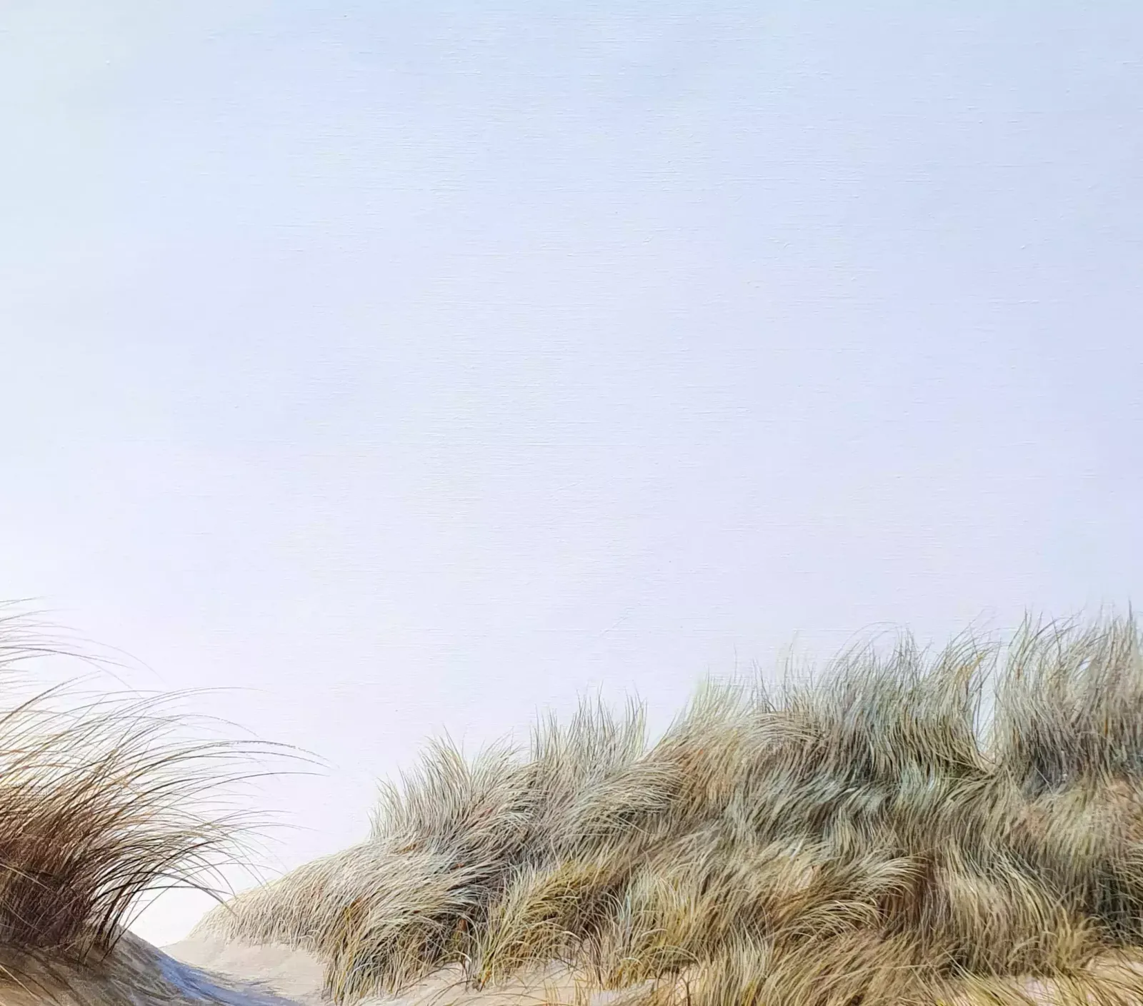 The Laughter Of The Wind Dances On The Tips Of The Sedges photo furniture