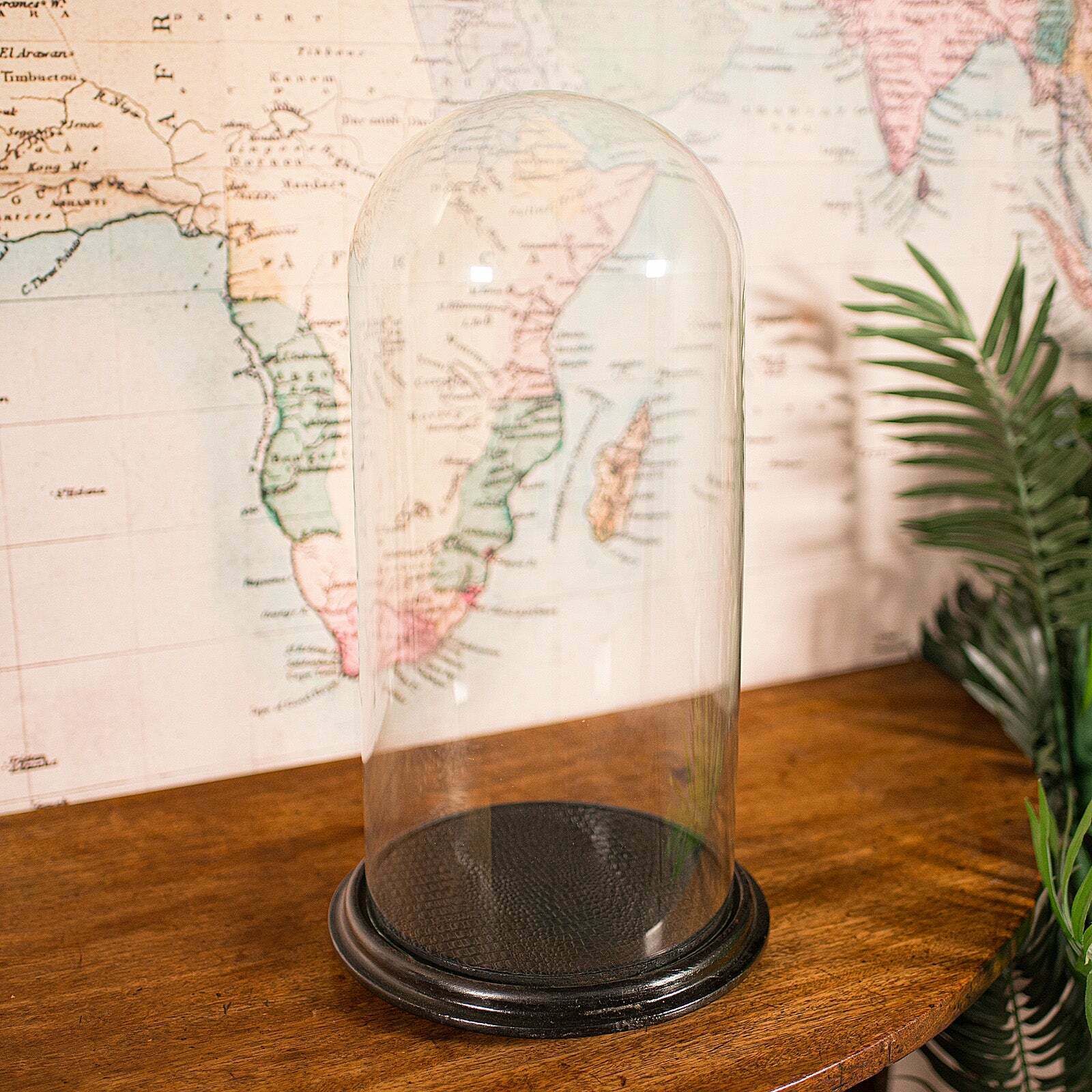 Tall Antique Taxidermy Specimen Dome, English, Glass Display Showcase, Victorian photo for sale