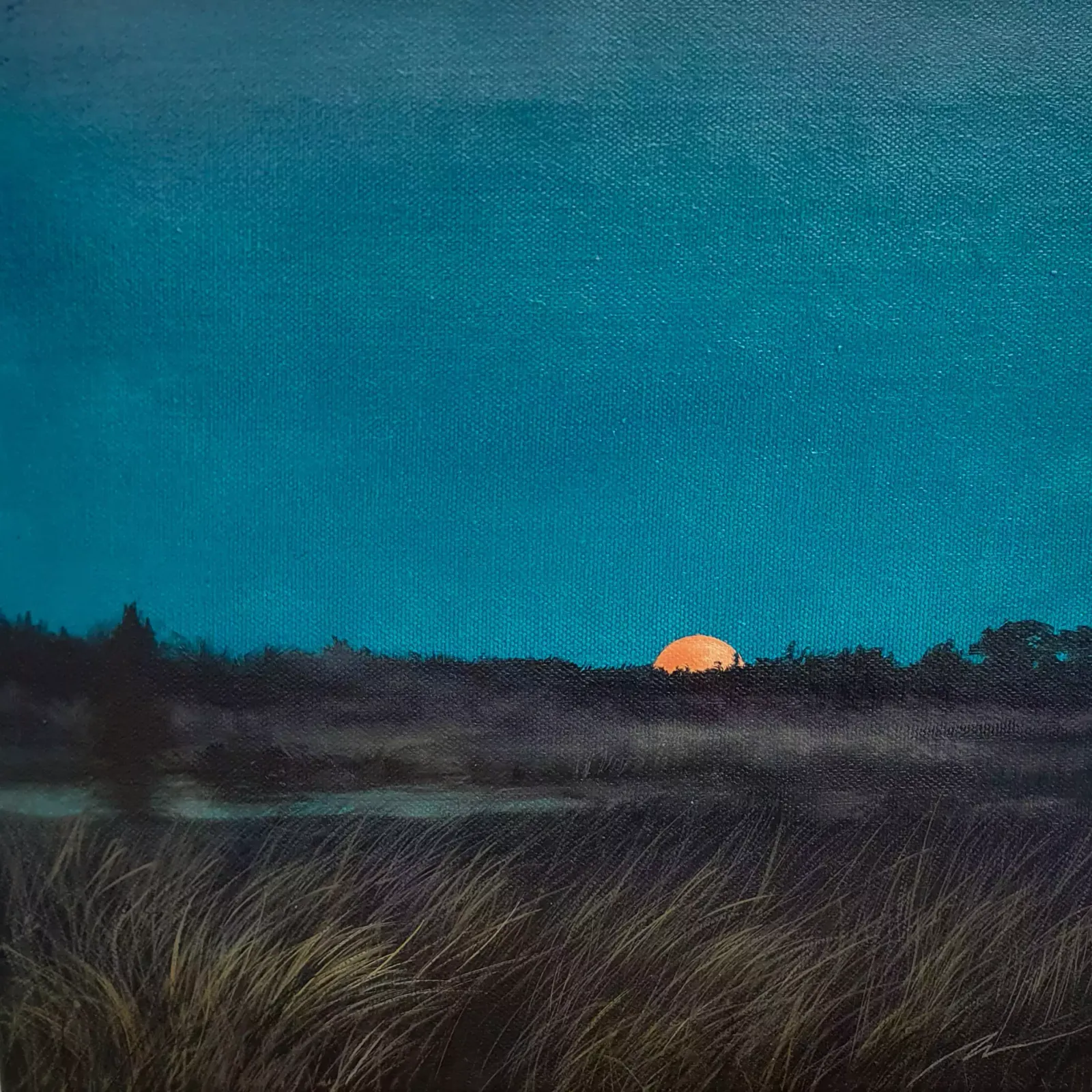 Maija Muizniece   The Evening Wakes Up
