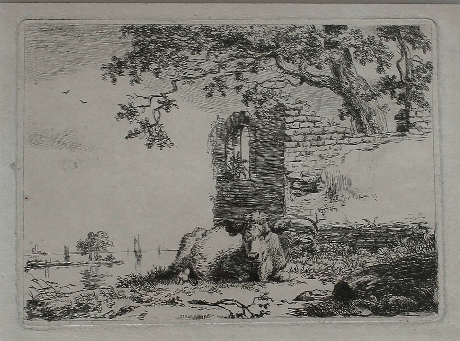 Recumbent Cow ~ Framed 17th Century Etching By  Adriaen Van De Velde photo furniture