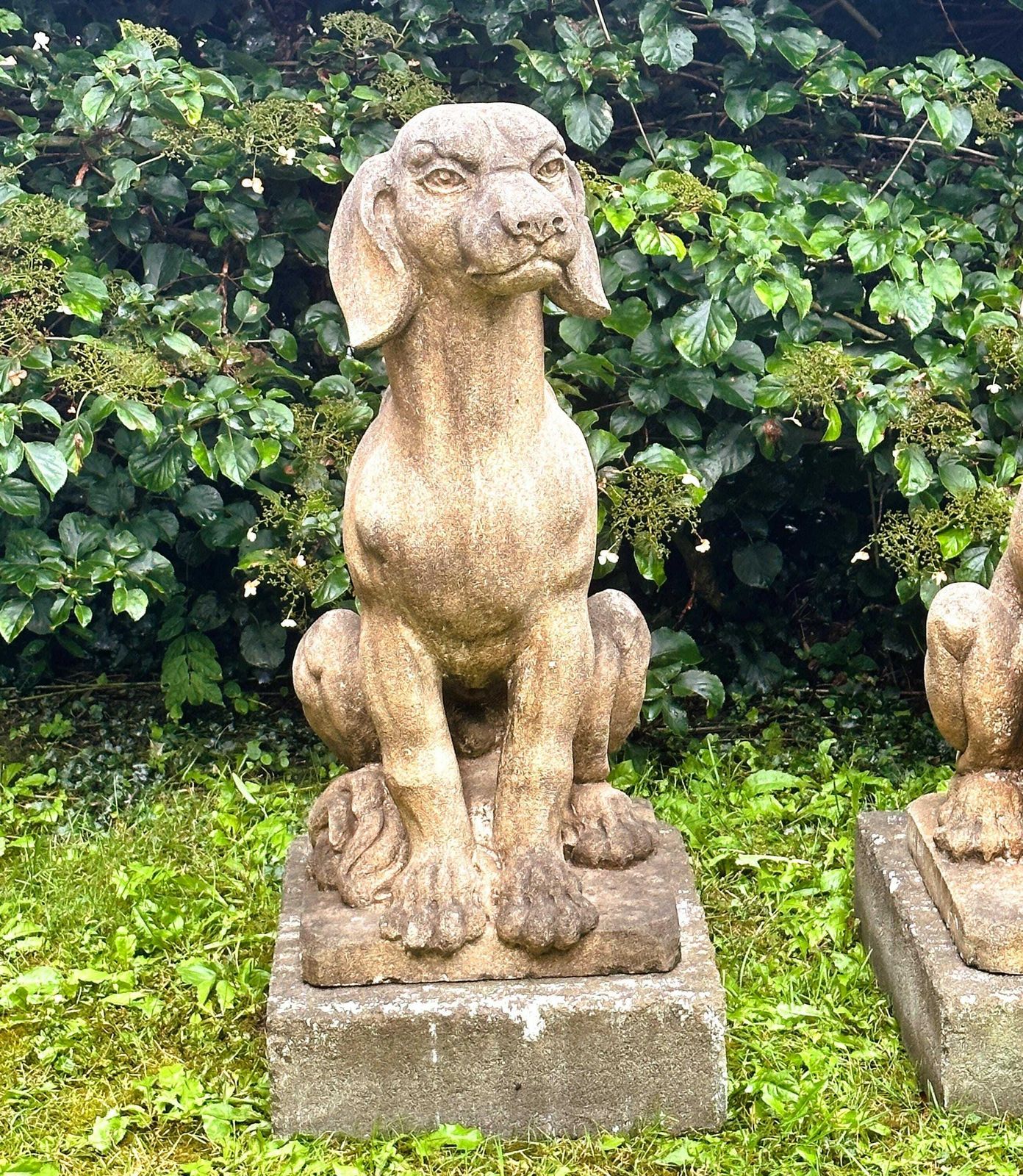 Paar Zeer Grote Stenen Honden, Kalksteen, Frankrijk Ca. Jaren 1940. photo 3549.0